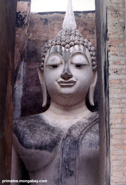 Buddha Tailand�s [ Jen Caldwell ]